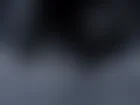monellaincam